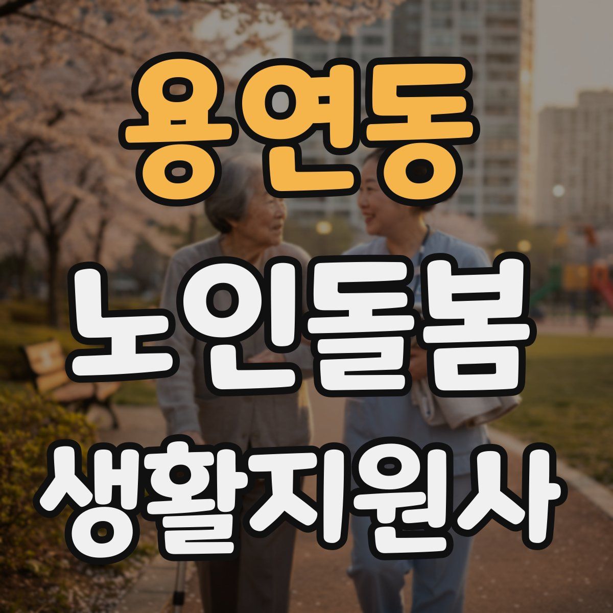 용연동 노인돌봄생활지원사 자격증