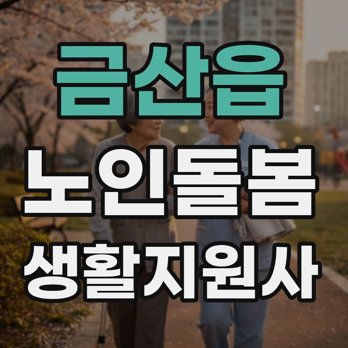 금산읍 노인돌봄생활지원사 자격증