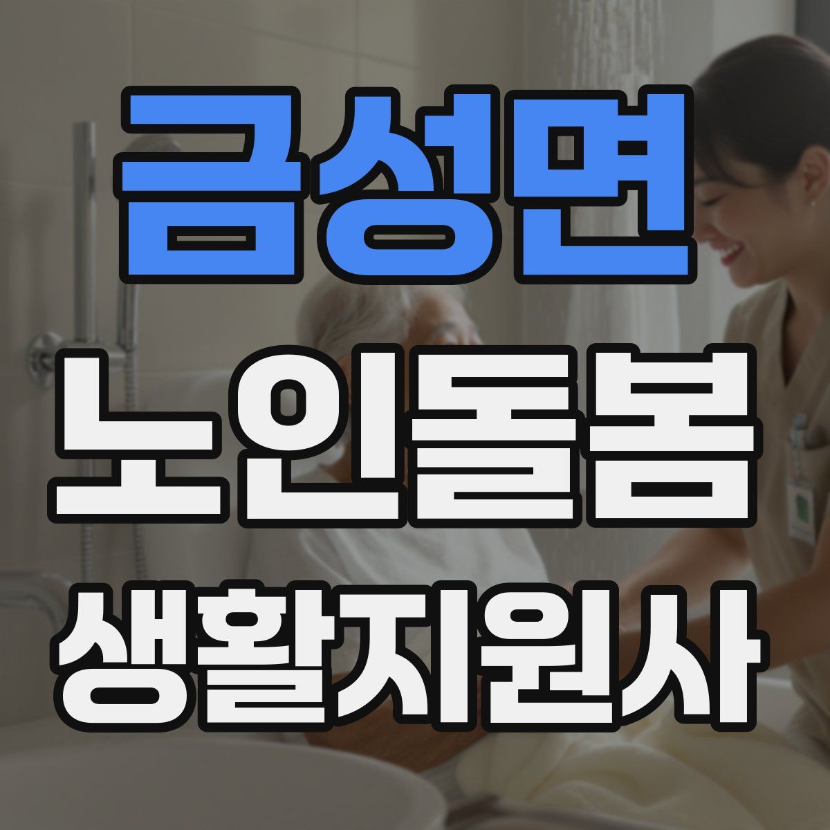 금성면 노인돌봄생활지원사 자격증