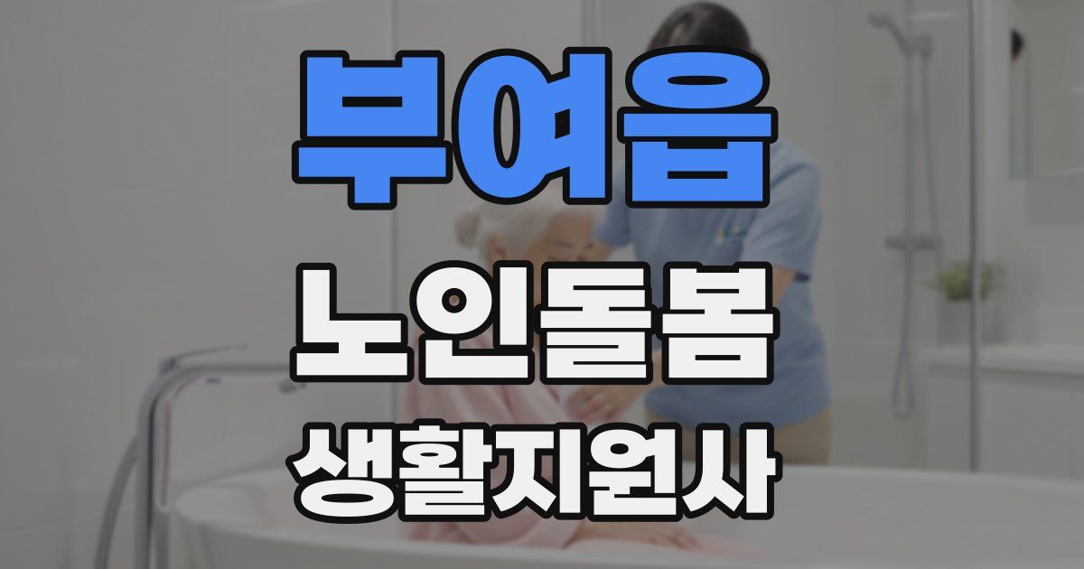 부여읍 노인돌봄생활지원사 자격증