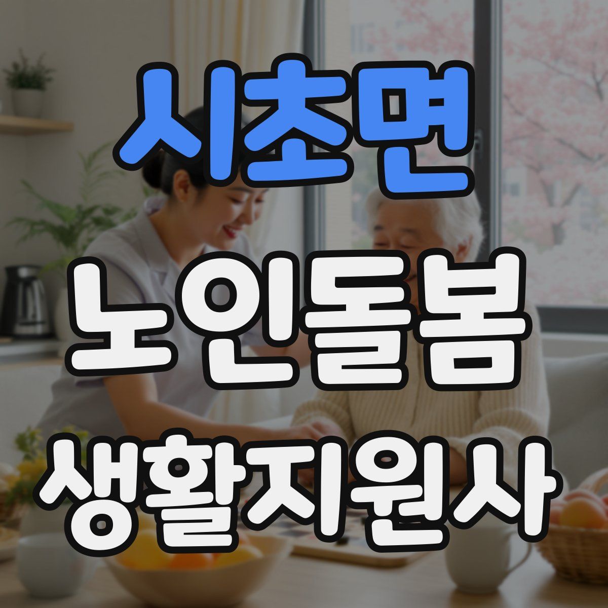 시초면 노인돌봄생활지원사 자격증