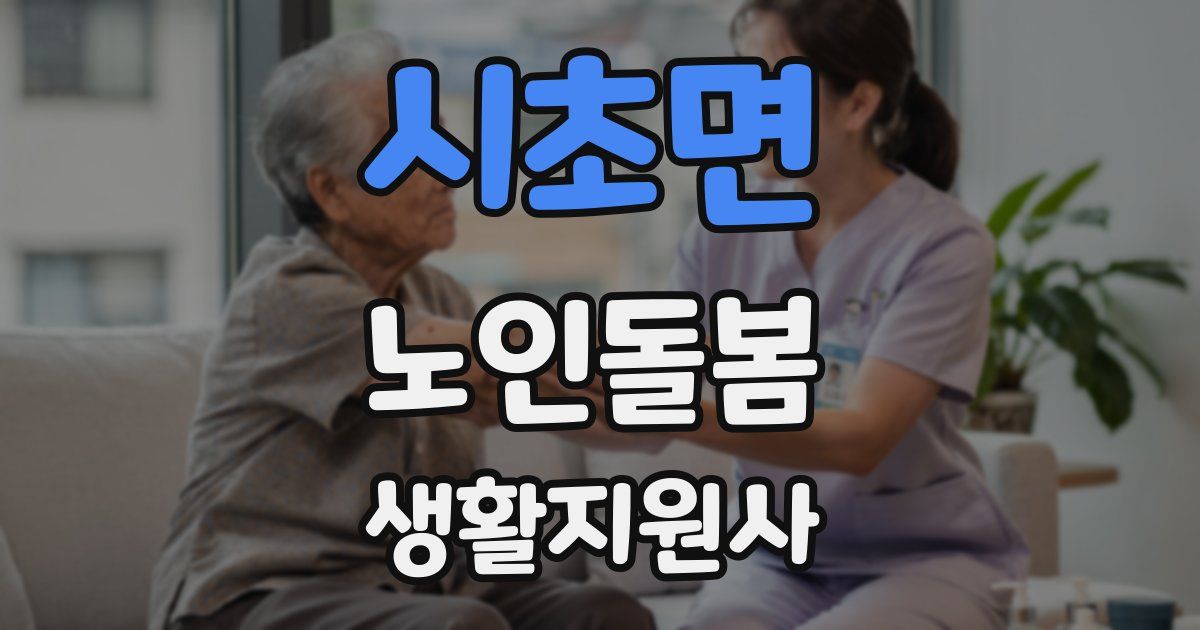 시초면 노인돌봄생활지원사 자격증