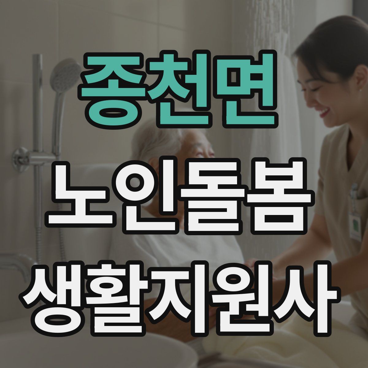 종천면 노인돌봄생활지원사 자격증