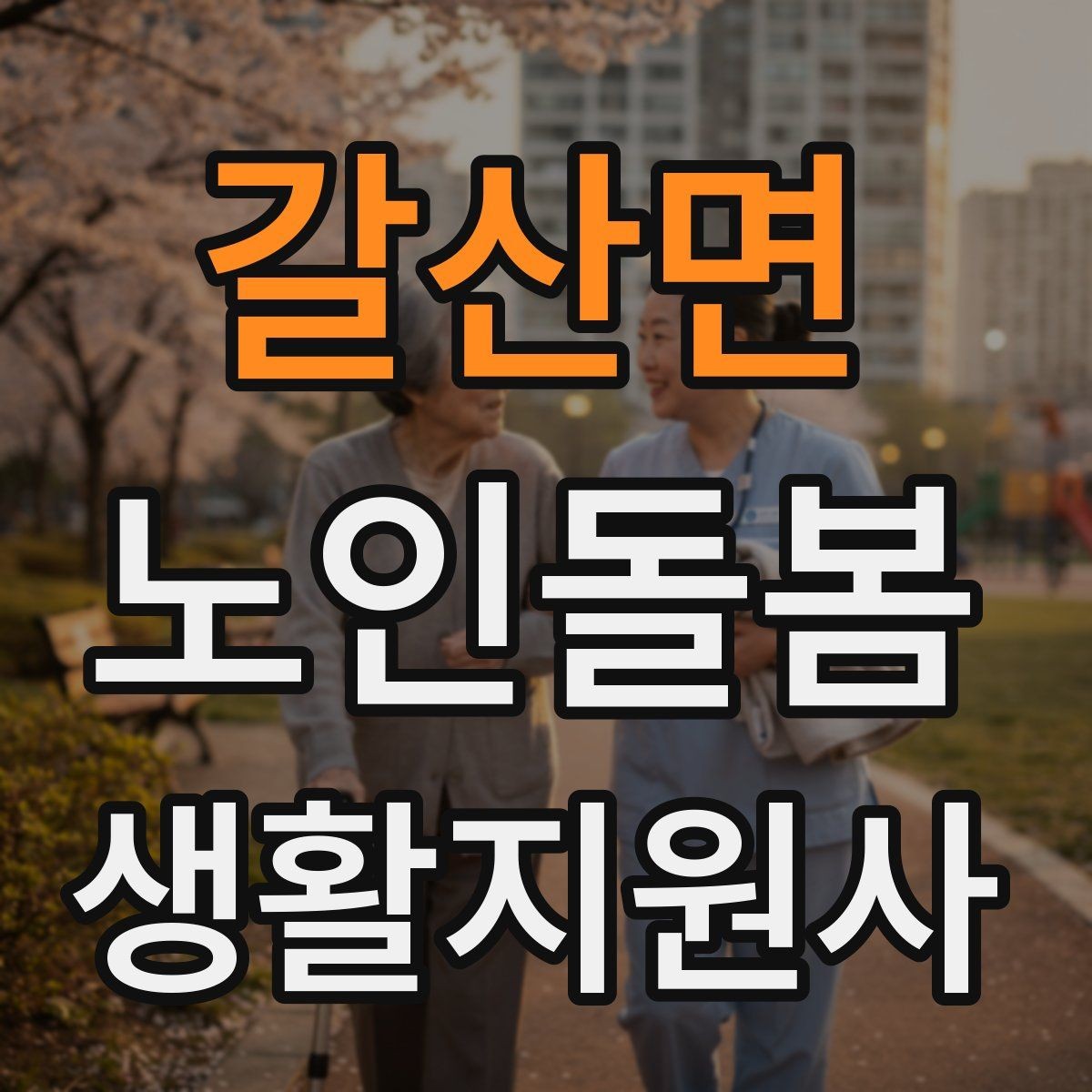 갈산면 노인돌봄생활지원사 자격증 시험 전날 정리해야 할 핵심