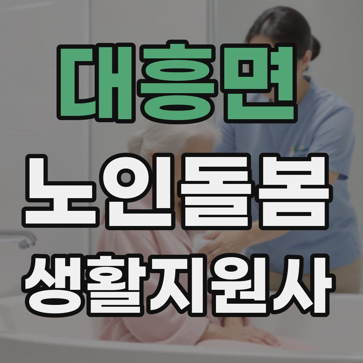 대흥면 노인돌봄생활지원사 자격증