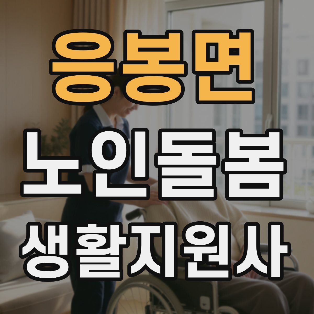 응봉면 노인돌봄생활지원사 자격증 휠체어 이동 동행에서 체크해야 할 것
