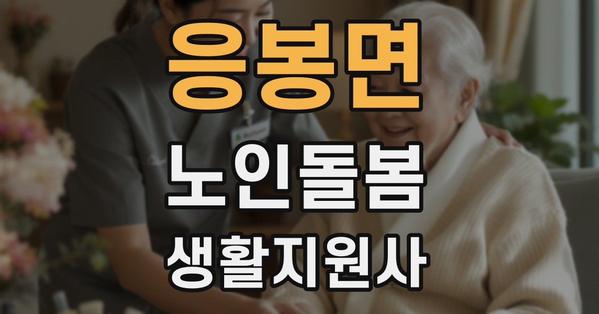 응봉면 노인돌봄생활지원사 자격증