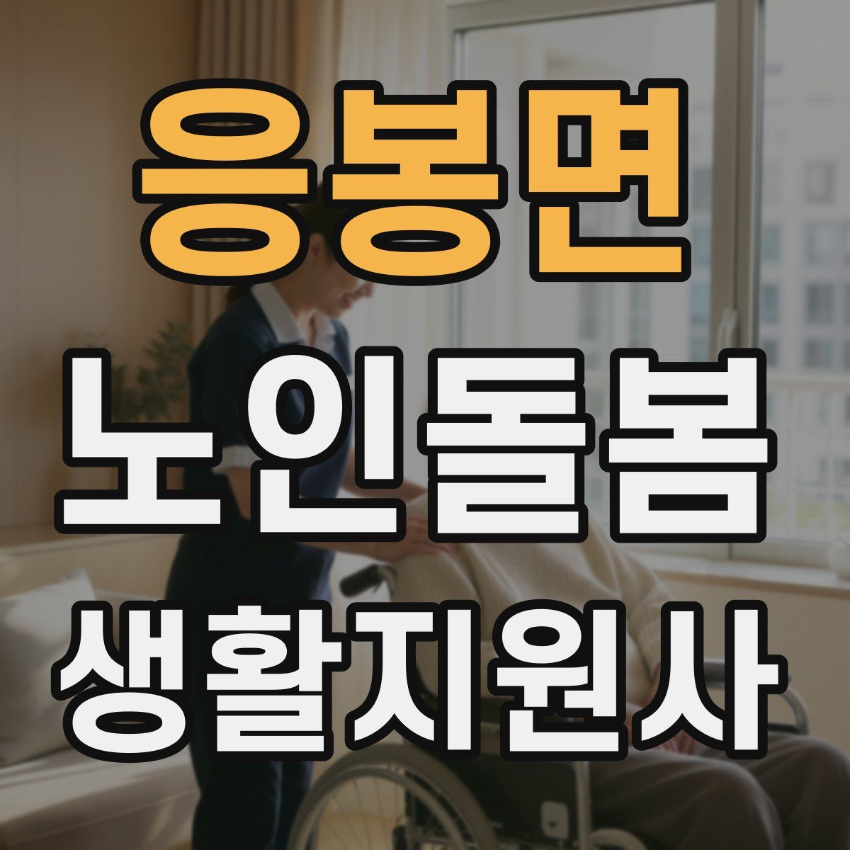 응봉면 노인돌봄생활지원사 자격증