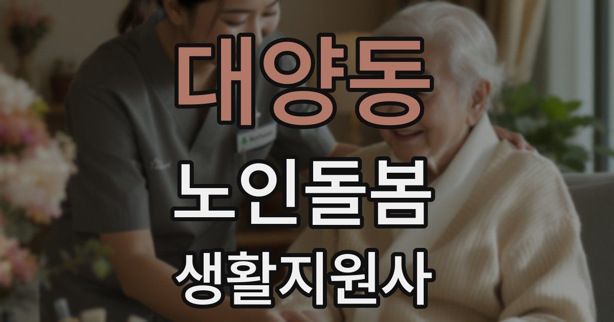 대양동 노인돌봄생활지원사 자격증