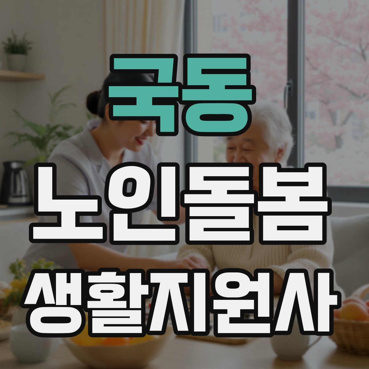 국동 노인돌봄생활지원사 자격증