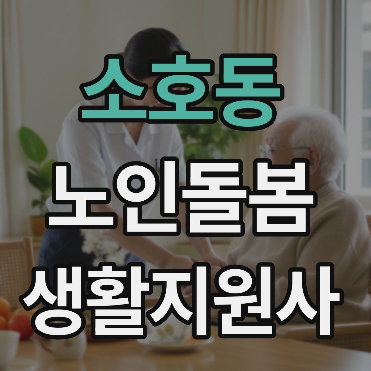 소호동 노인돌봄생활지원사 자격증