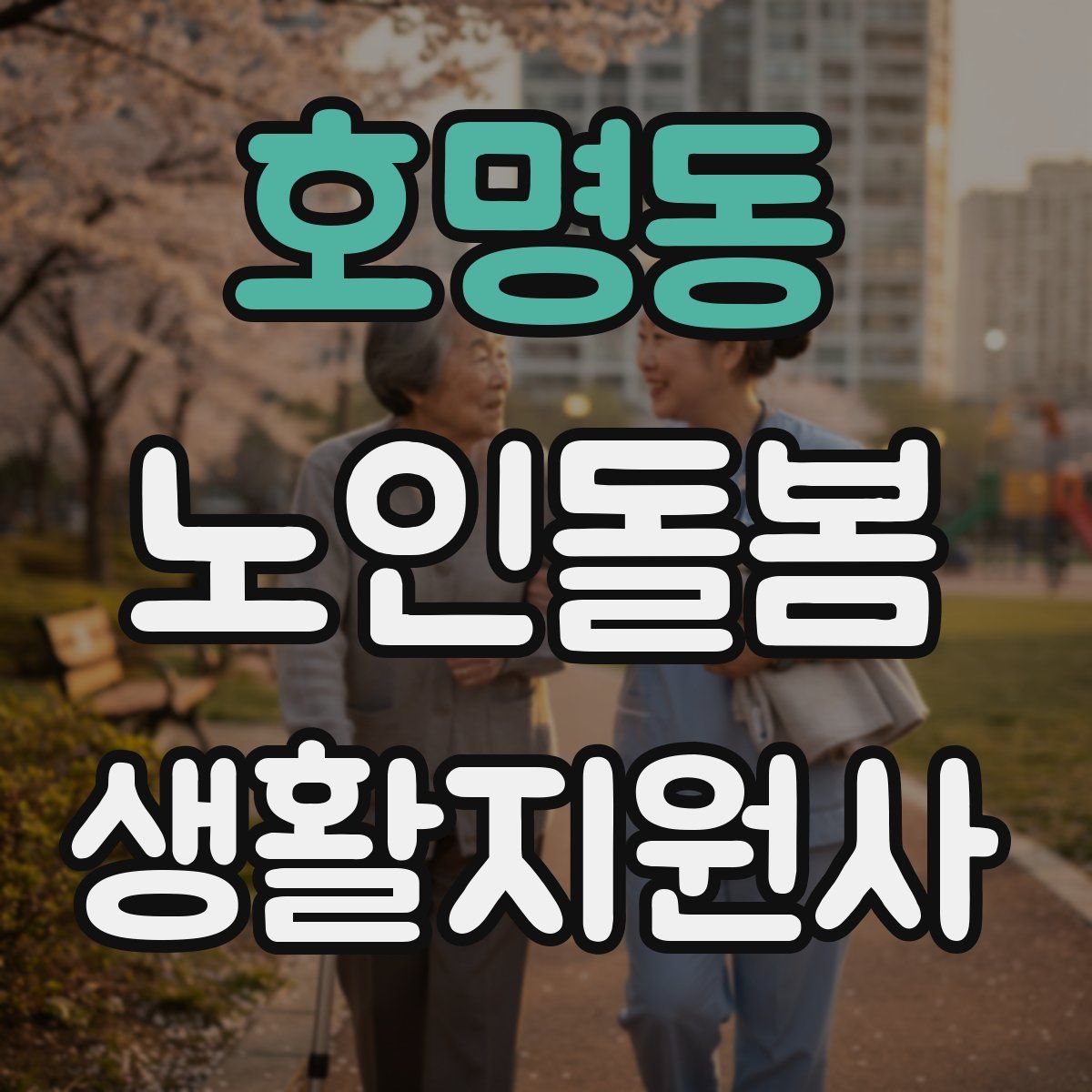 호명동 노인돌봄생활지원사 자격증
