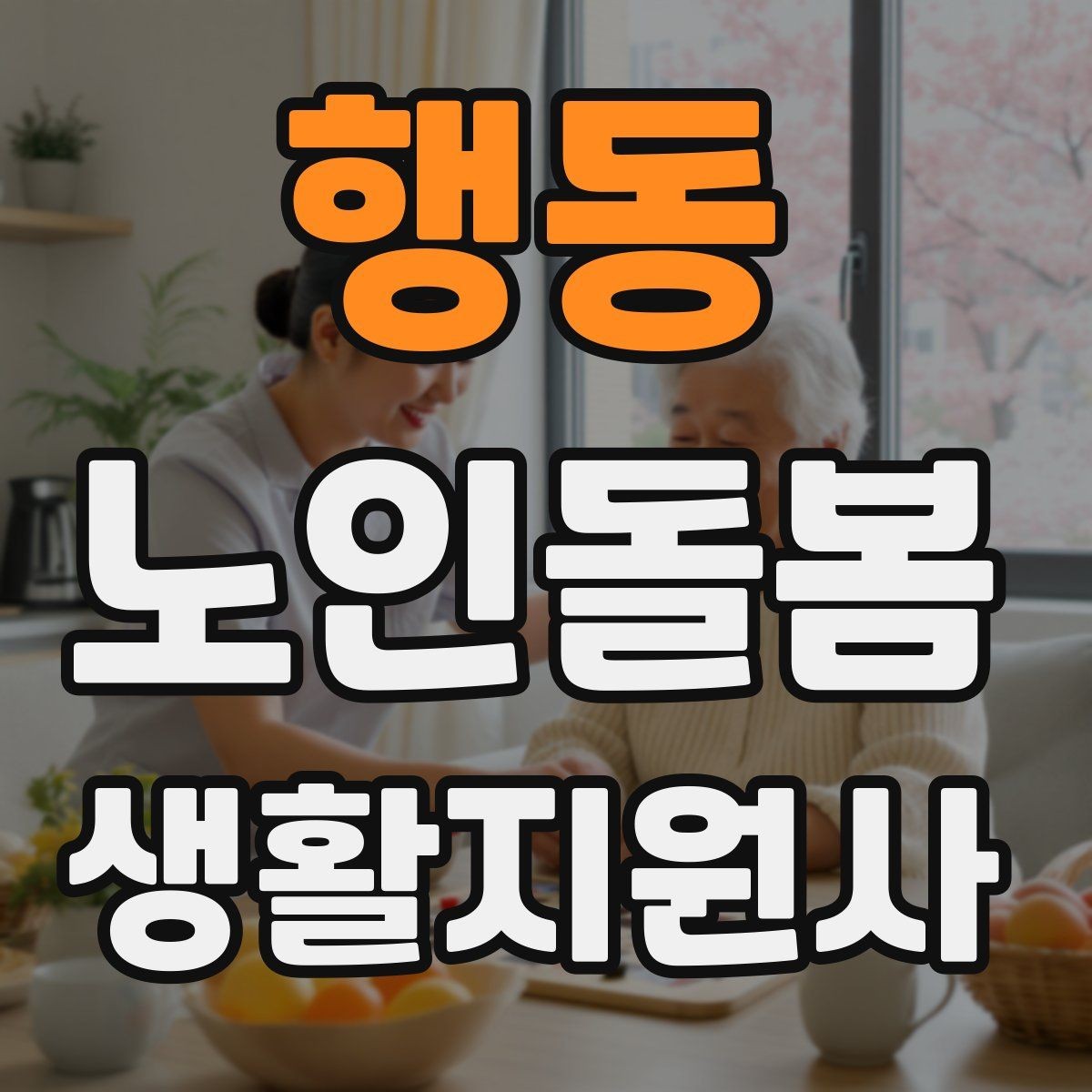 행동 노인돌봄생활지원사 자격증 커리큘럼 비교할 때 보는 기준