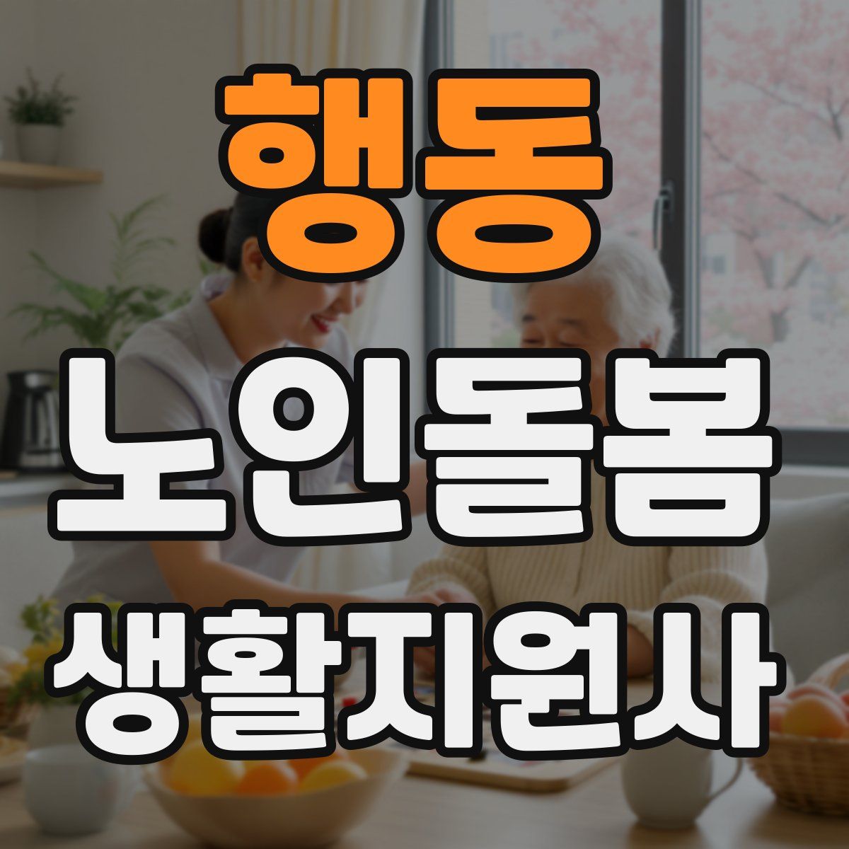 행동 노인돌봄생활지원사 자격증