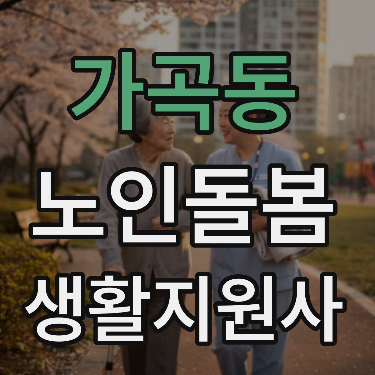 가곡동 노인돌봄생활지원사 자격증