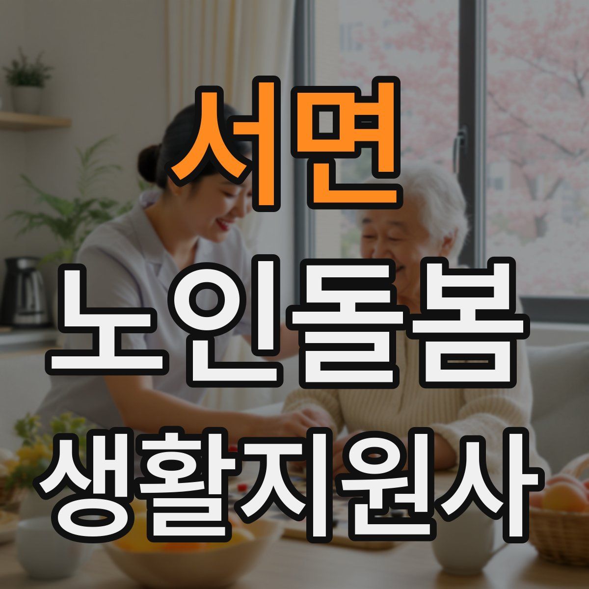 서면 노인돌봄생활지원사 자격증