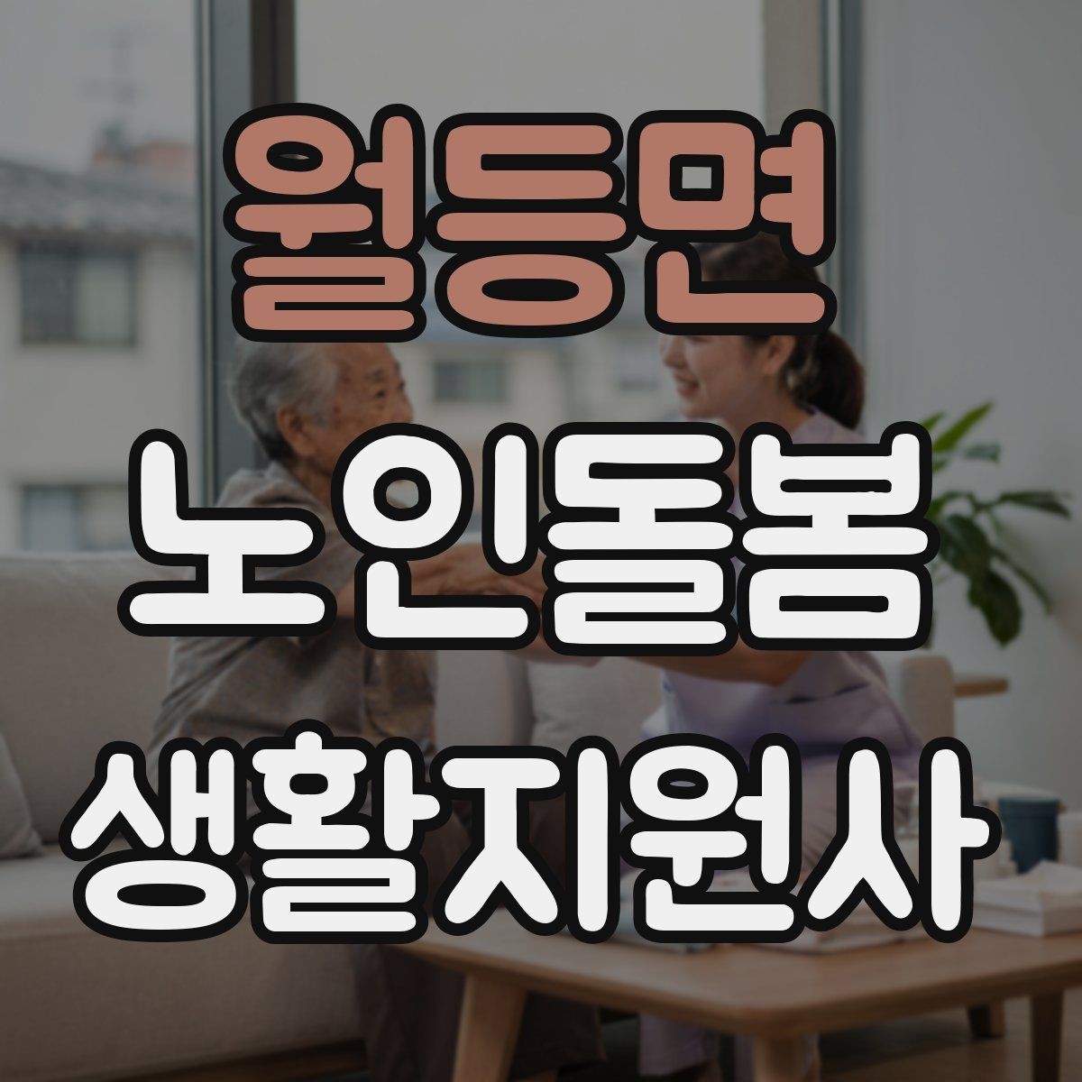 월등면 노인돌봄생활지원사 자격증 약 봉투가 많을 때 정리하는 요령