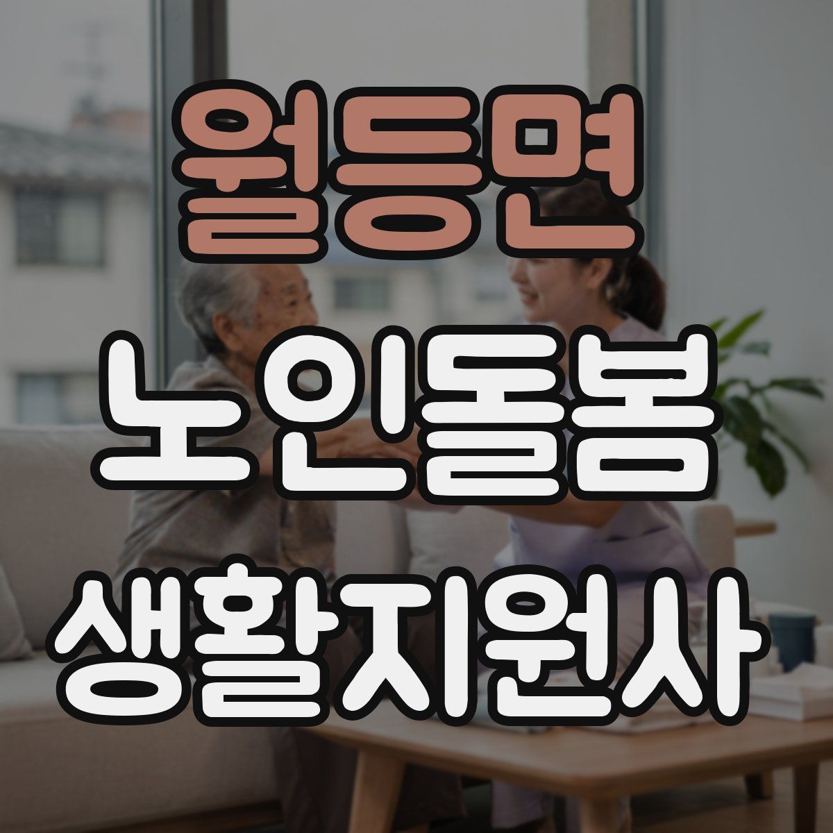 월등면 노인돌봄생활지원사 자격증
