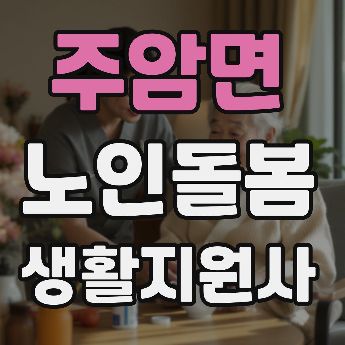 주암면 노인돌봄생활지원사 자격증