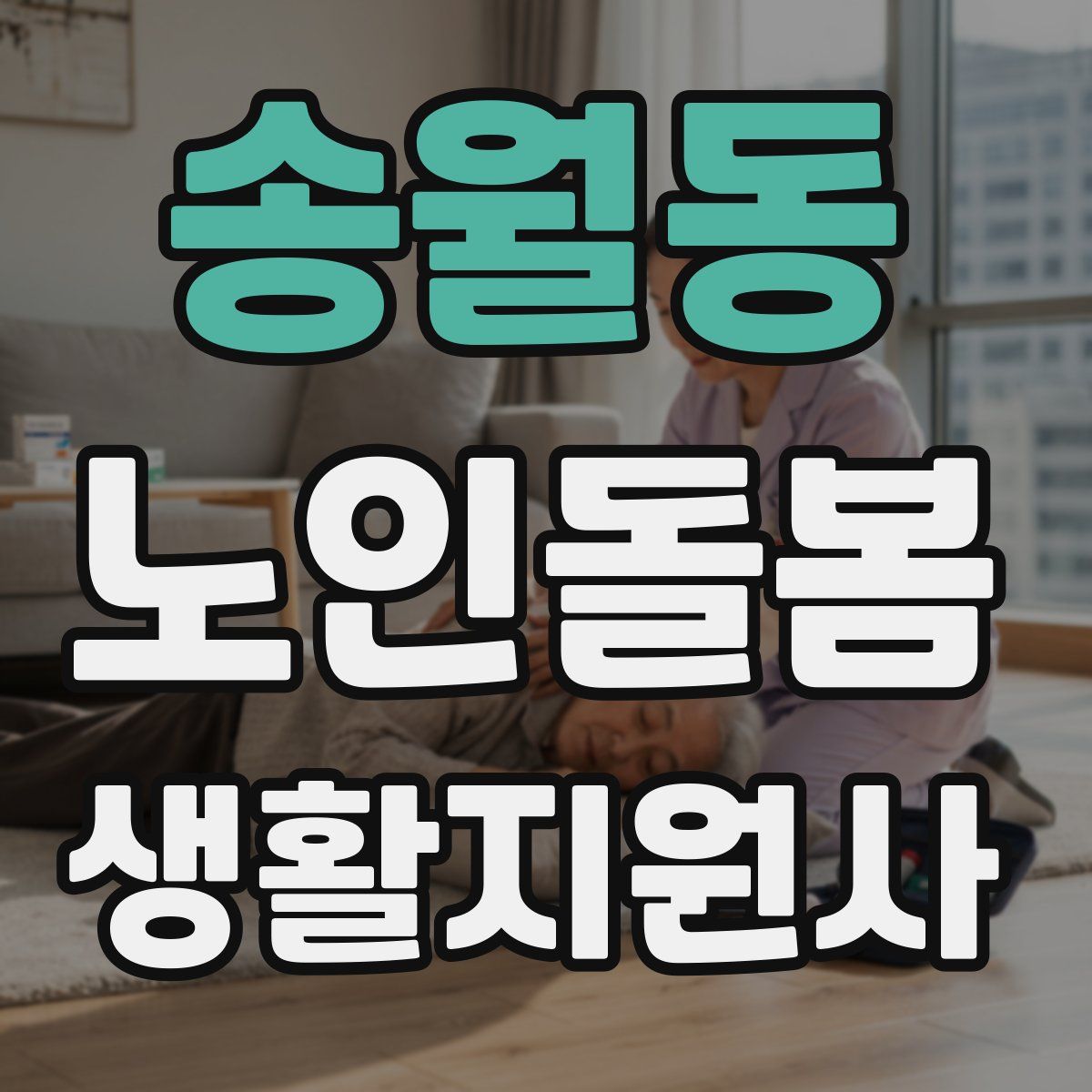 송월동 노인돌봄생활지원사 자격증