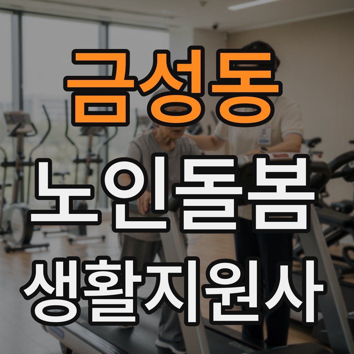 금성동 노인돌봄생활지원사 자격증
