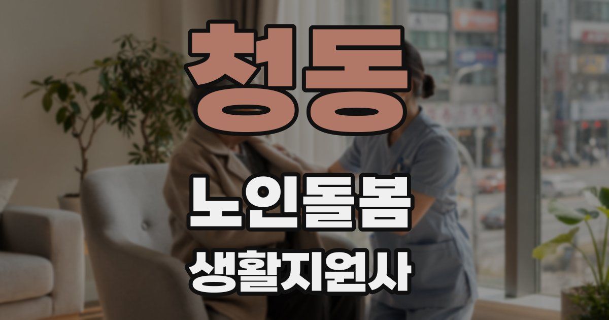 청동 노인돌봄생활지원사 자격증