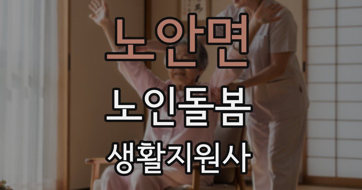 노안면 노인돌봄생활지원사 자격증