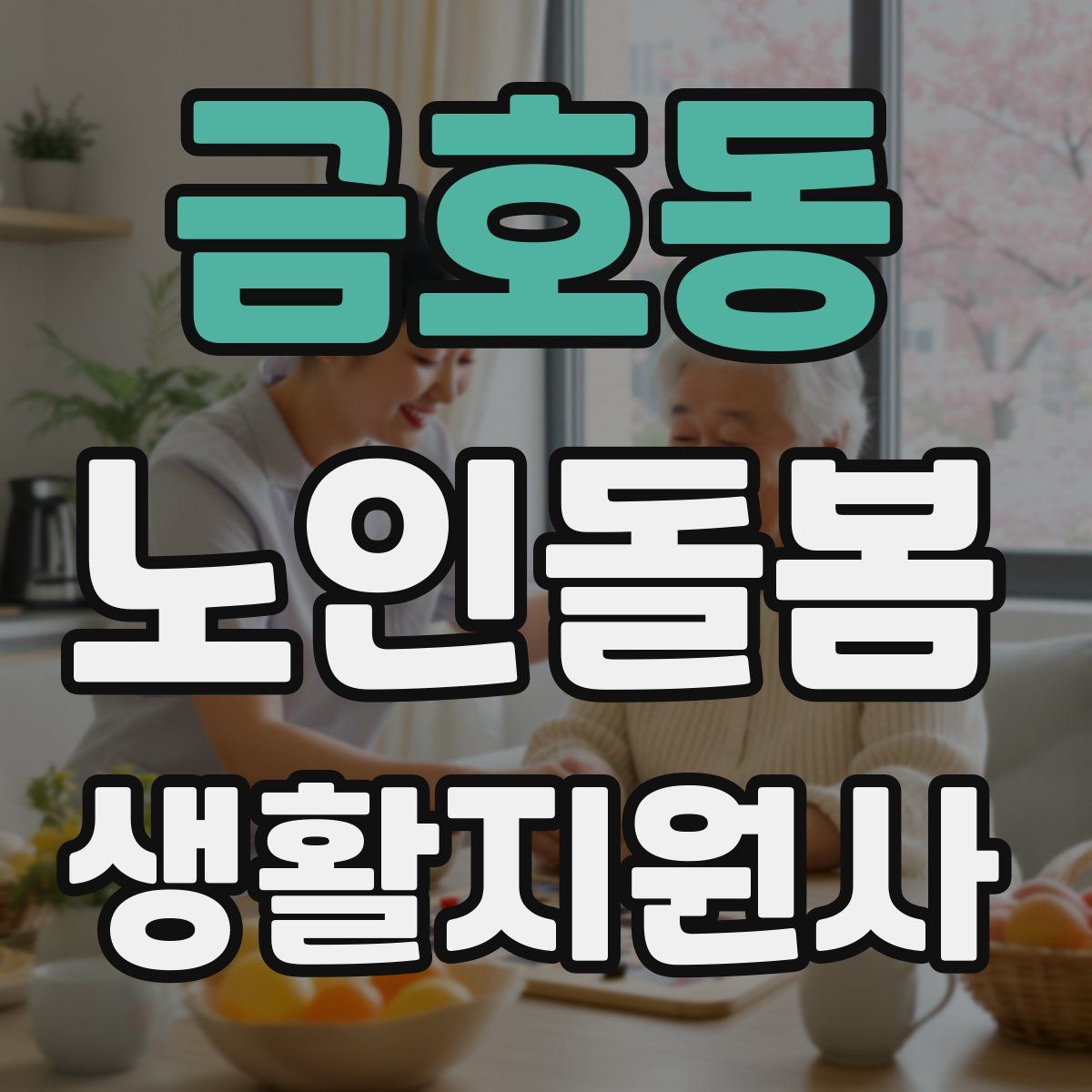 금호동 노인돌봄생활지원사 자격증