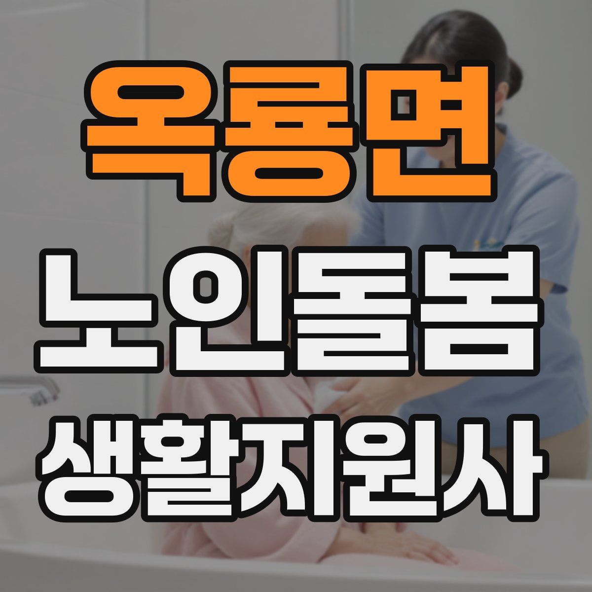옥룡면 노인돌봄생활지원사 자격증