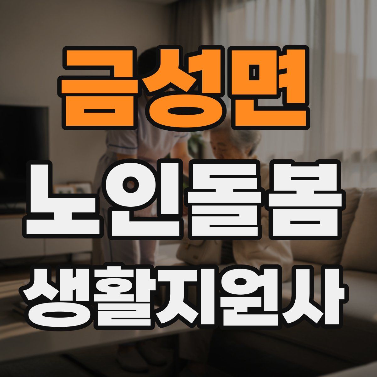 금성면 노인돌봄생활지원사 자격증
