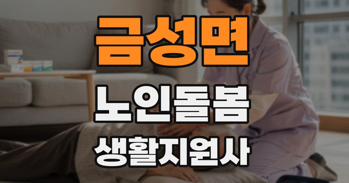 금성면 노인돌봄생활지원사 자격증