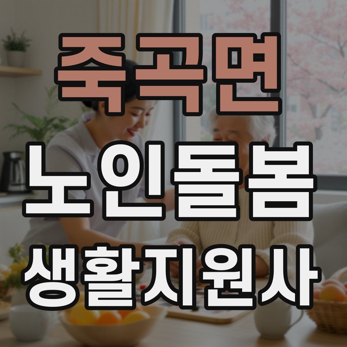 죽곡면 노인돌봄생활지원사 자격증