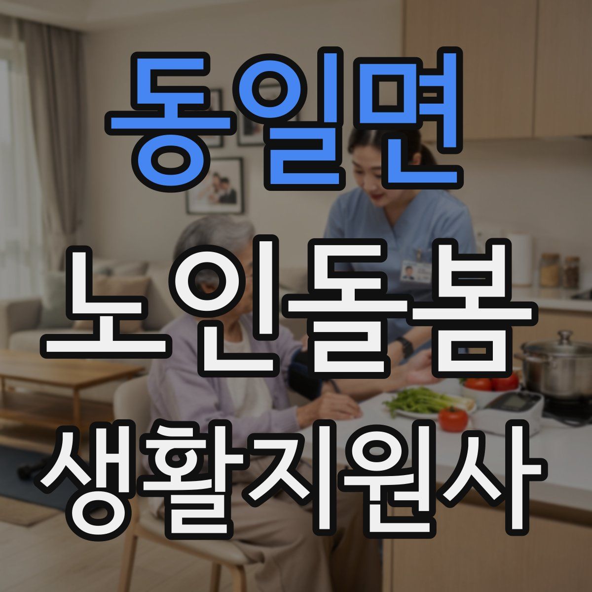 동일면 노인돌봄생활지원사 자격증