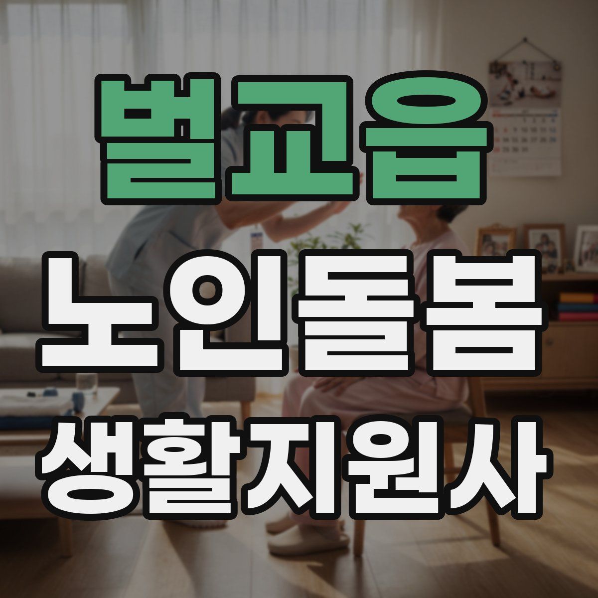벌교읍 노인돌봄생활지원사 자격증