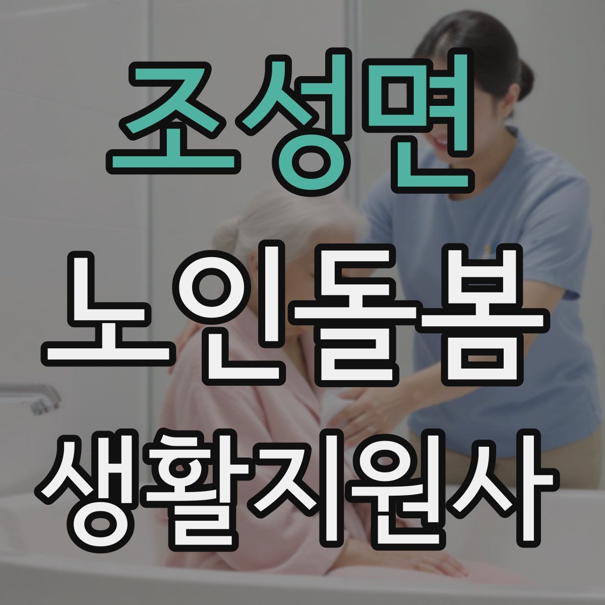 조성면 노인돌봄생활지원사 자격증