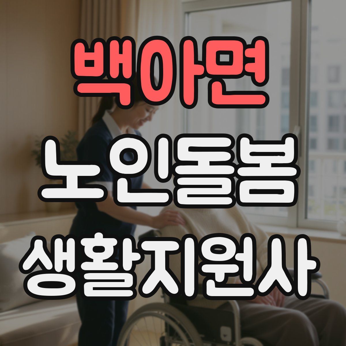 백아면 노인돌봄생활지원사 자격증