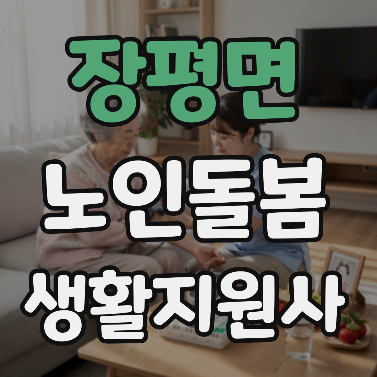 장평면 노인돌봄생활지원사 자격증