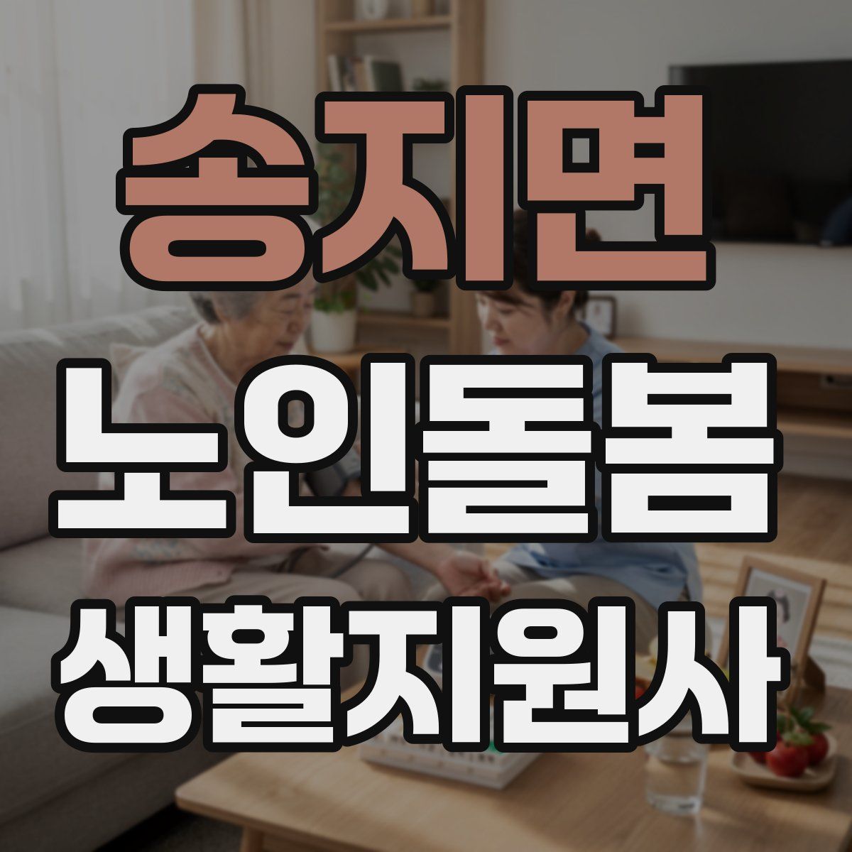 송지면 노인돌봄생활지원사 자격증