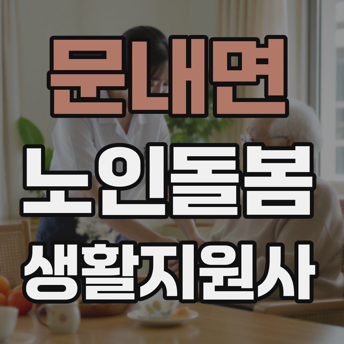 문내면 노인돌봄생활지원사 자격증