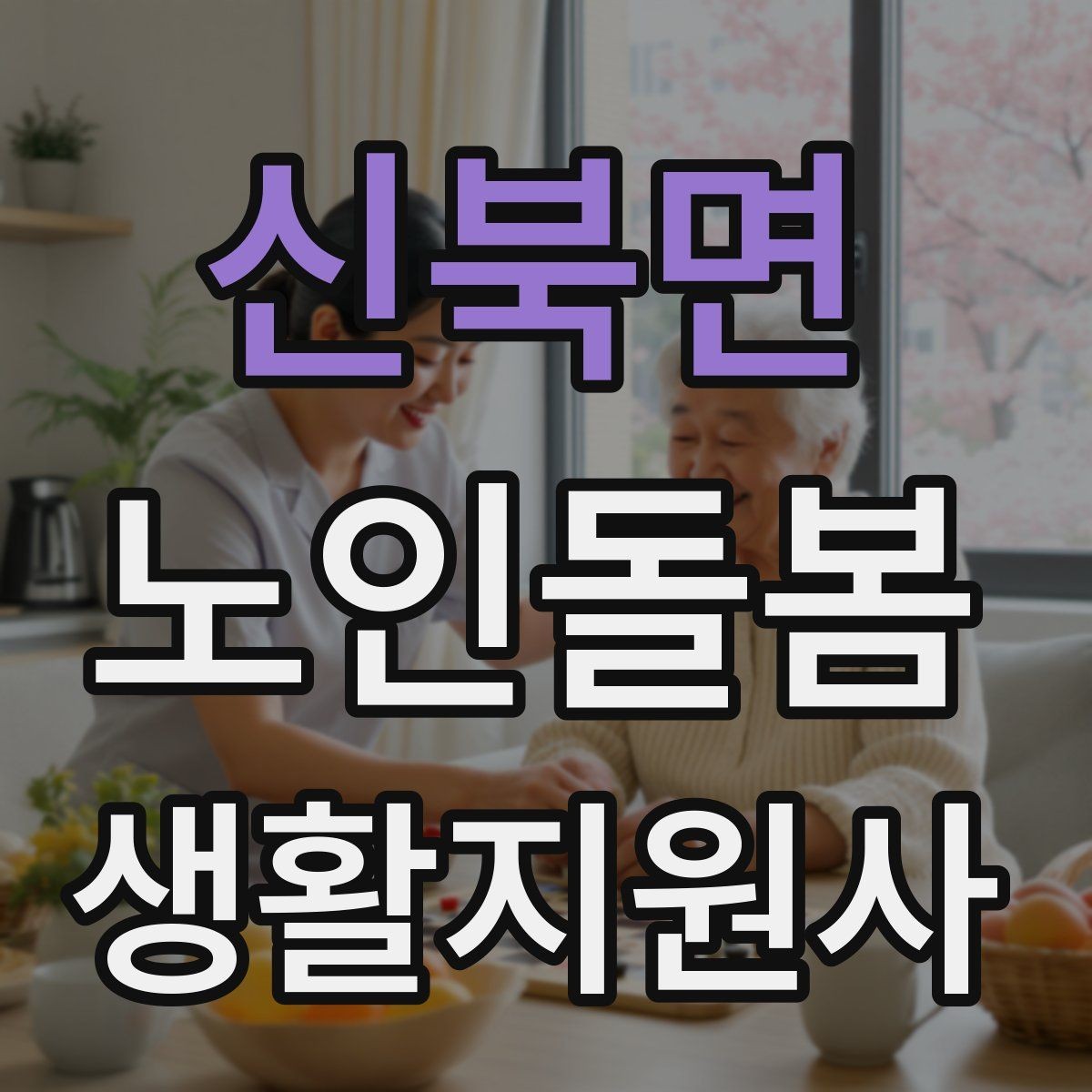 신북면 노인돌봄생활지원사 자격증 온라인 과정 선택 시 체크 포인트