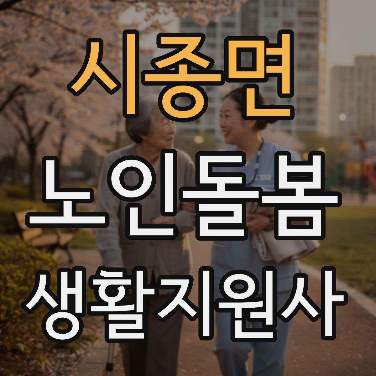시종면 노인돌봄생활지원사 자격증 초행길 방문 시 동선 체크 포인트
