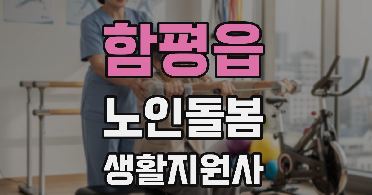 함평읍 노인돌봄생활지원사 자격증