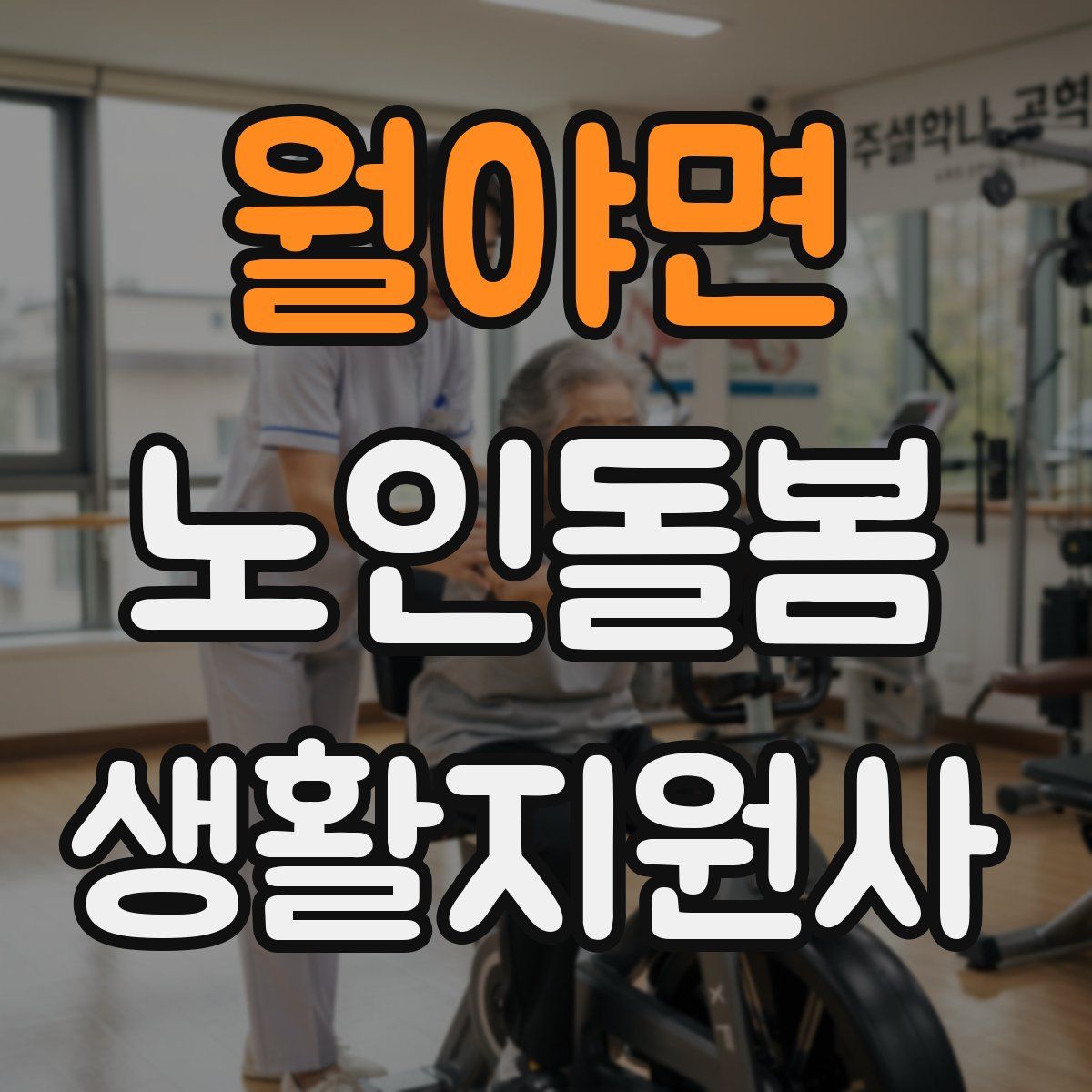 월야면 노인돌봄생활지원사 자격증