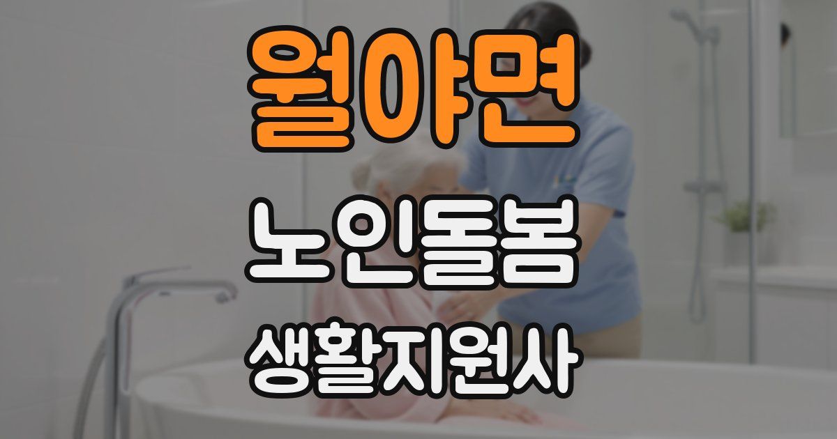 월야면 노인돌봄생활지원사 자격증