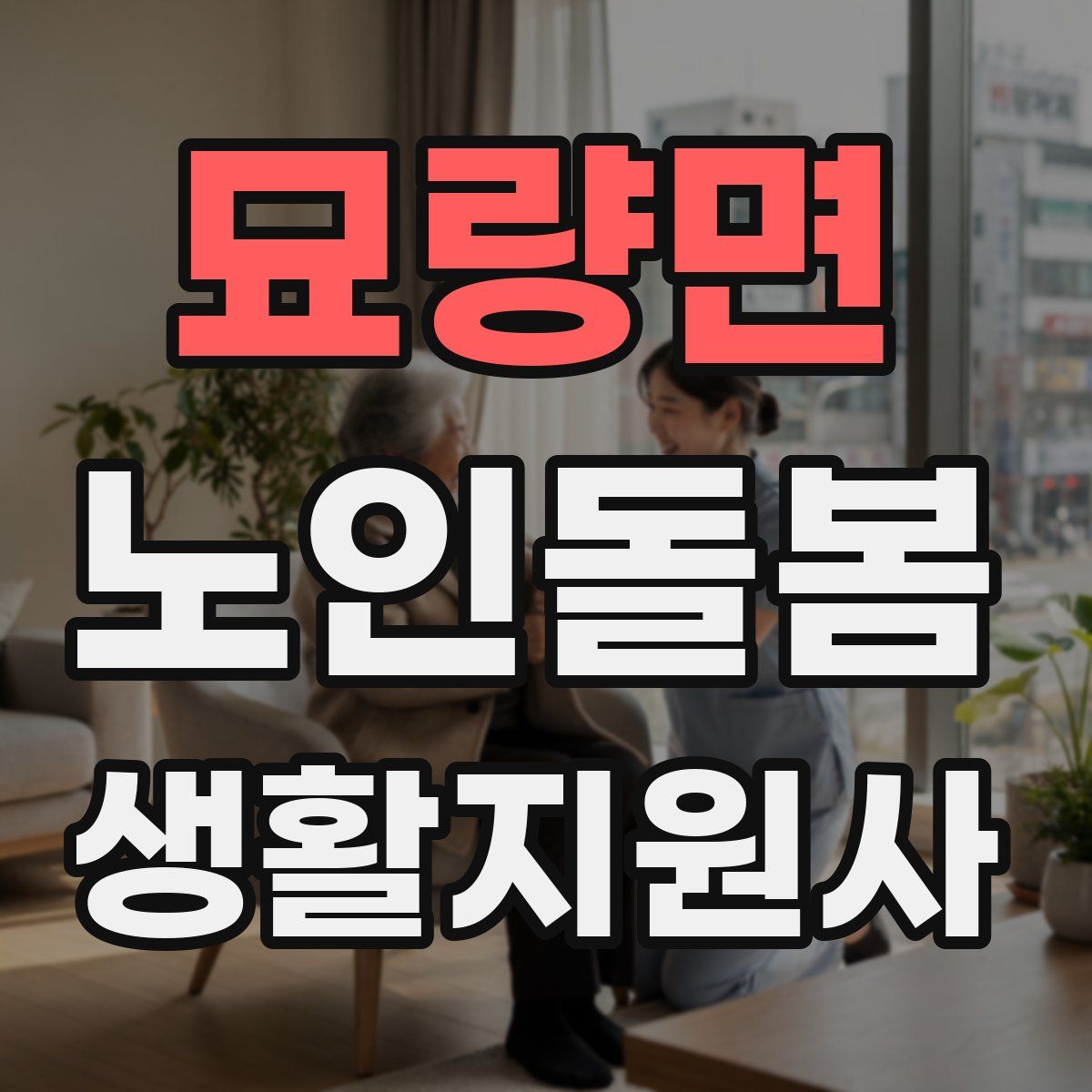 묘량면 노인돌봄생활지원사 자격증