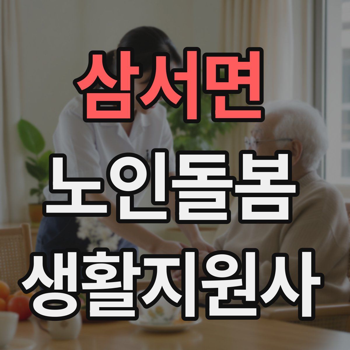 삼서면 노인돌봄생활지원사 자격증