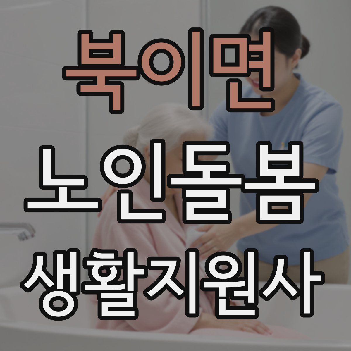 북이면 노인돌봄생활지원사 자격증