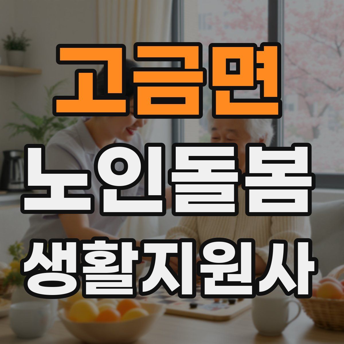 고금면 노인돌봄생활지원사 자격증