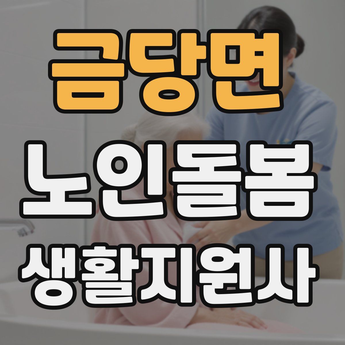 금당면 노인돌봄생활지원사 자격증