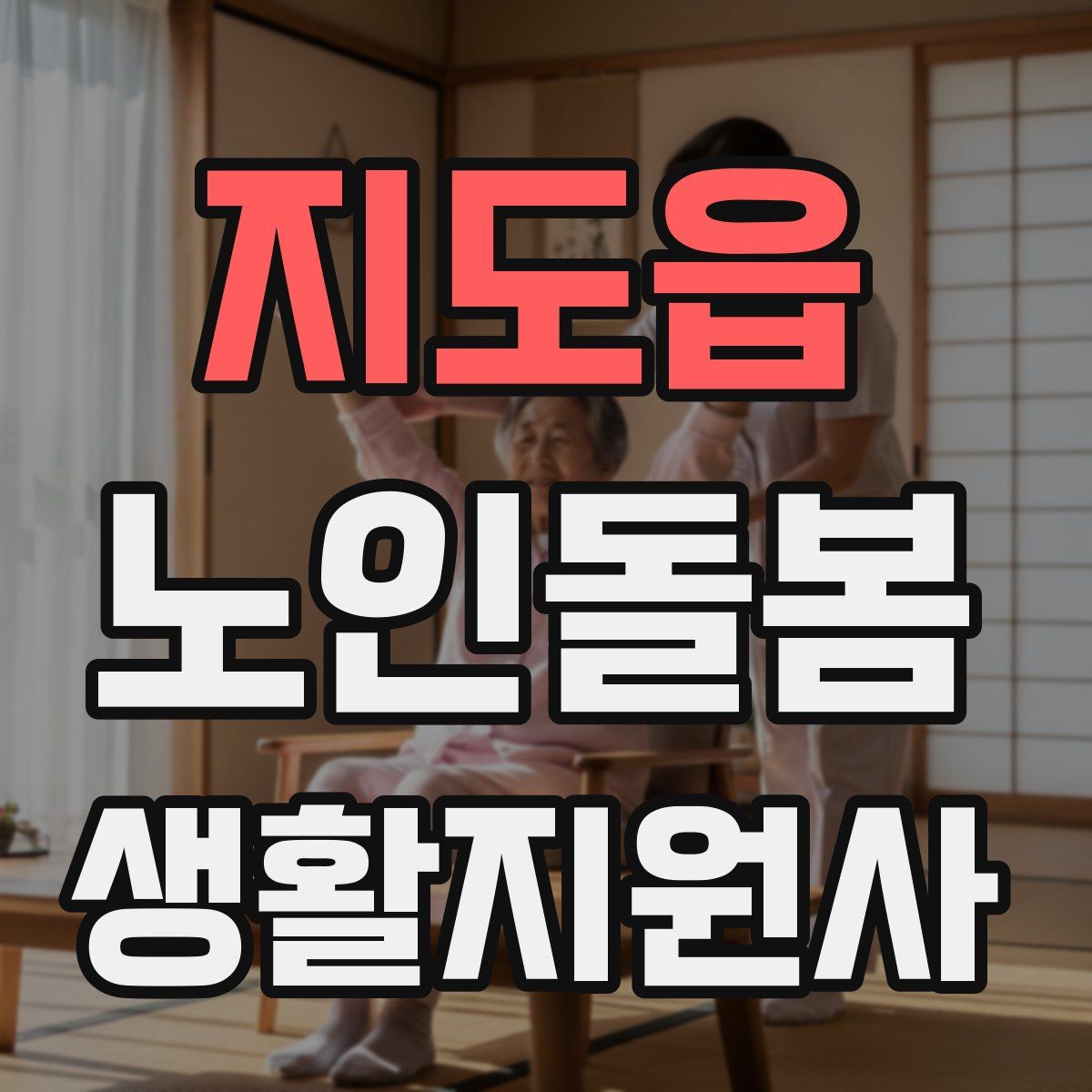 지도읍 노인돌봄생활지원사 자격증